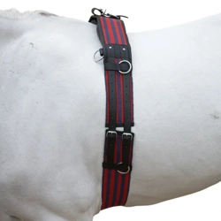 Hy Equestrian Training Roller