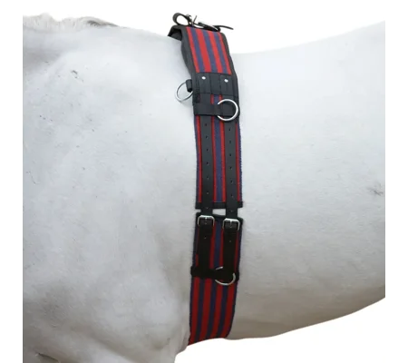 Hy Equestrian Training Roller