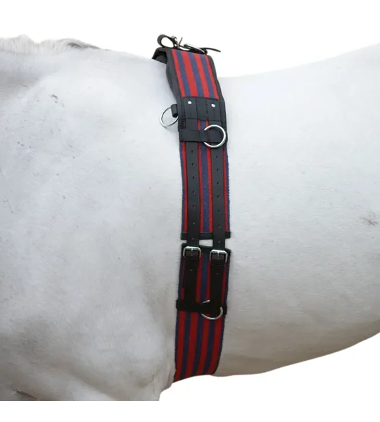 Hy Equestrian Training Roller