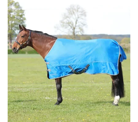 StormX Empra 0 Turnout Rug Blue
