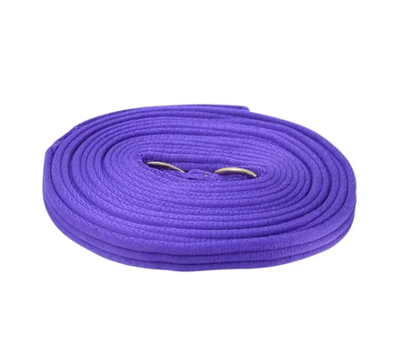 Hy Equestrian Soft Webbing Lunge Rein 25' Purple