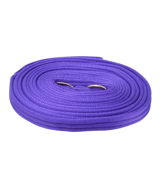 Hy Equestrian Soft Webbing Lunge Rein 25' Purple