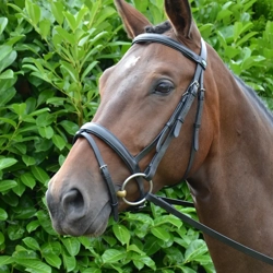 Hy Equestrian Padded Flash Bridle with Rubber Grip Reins Black