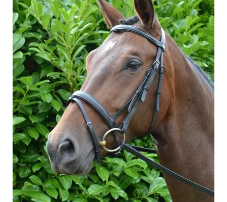 Hy Equestrian Padded Flash Bridle with Rubber Grip Reins Black