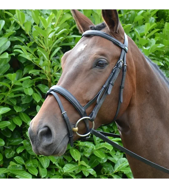 Hy Equestrian Padded Flash Bridle with Rubber Grip Reins Black