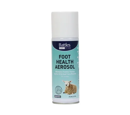 Battles Foot Health Aerosol - 150g