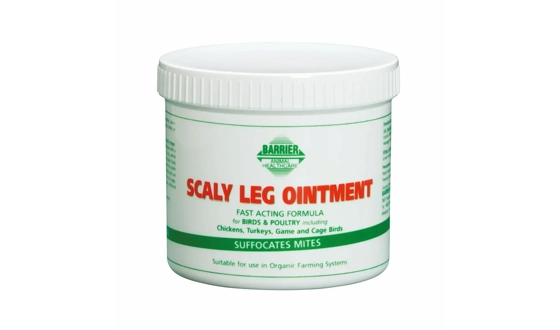 Category Image for General Health