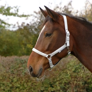 Hy Equestrian Glitzy Headcollar Silver