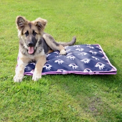 Hy Unicorn Dog Bed