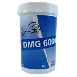 Equine Products DMG 1kg