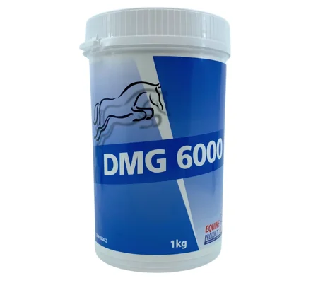 Equine Products DMG 1kg