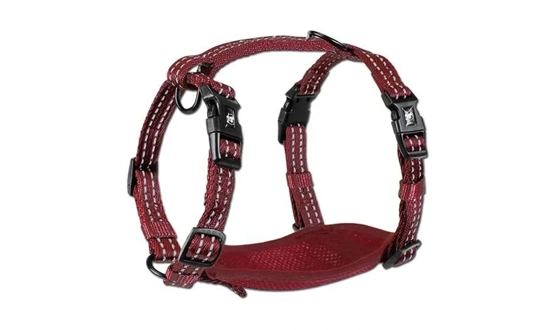 Category Image for ALCOTT