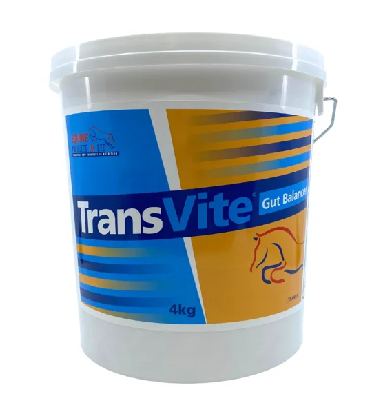 Transvite Gut Balancer