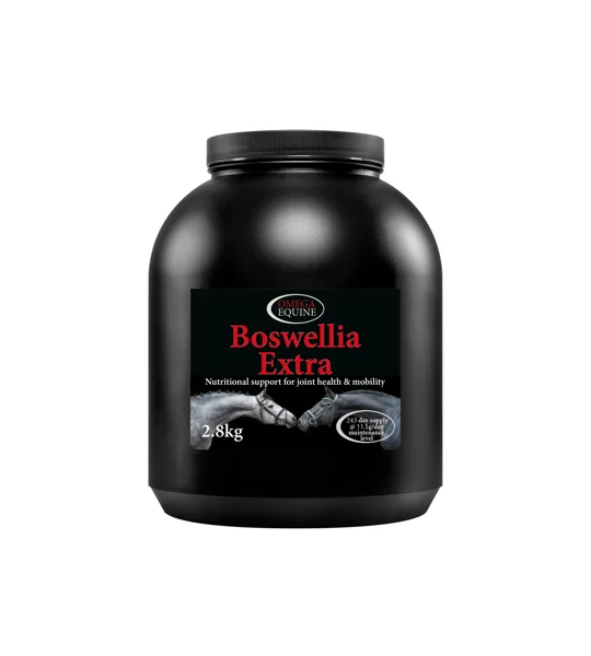 Omega Equine Boswellia Extra