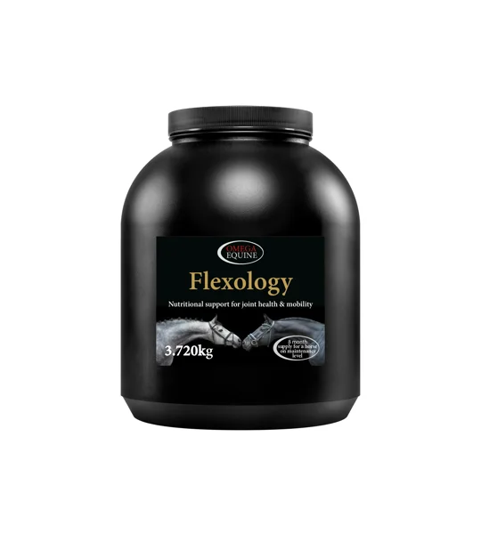 Omega Equine Flexology