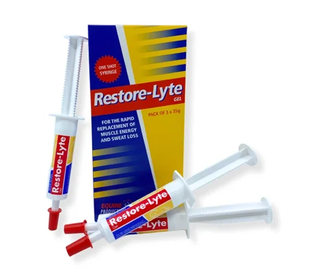 Restore-Lyte 3 x 35g syringe gel