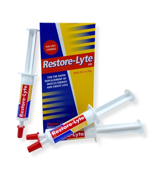 Restore-Lyte 3 x 35g syringe gel