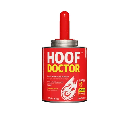 Equine One Hoof Doctor