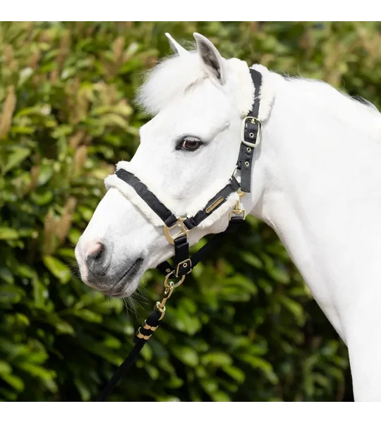Coldstream Langlee Luxury Head Collar & Lead Rope Black