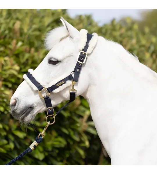 Coldstream Langlee Luxury Head Collar & Lead Rope Navy