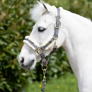 Coldstream Langlee Luxury Head Collar & Lead Rope Grey