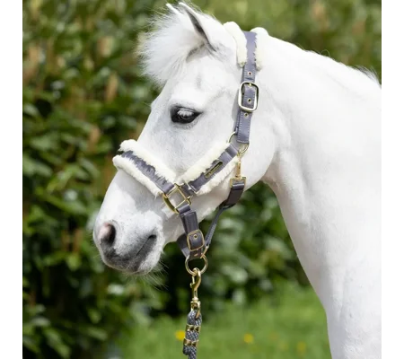 Coldstream Langlee Luxury Head Collar & Lead Rope Grey