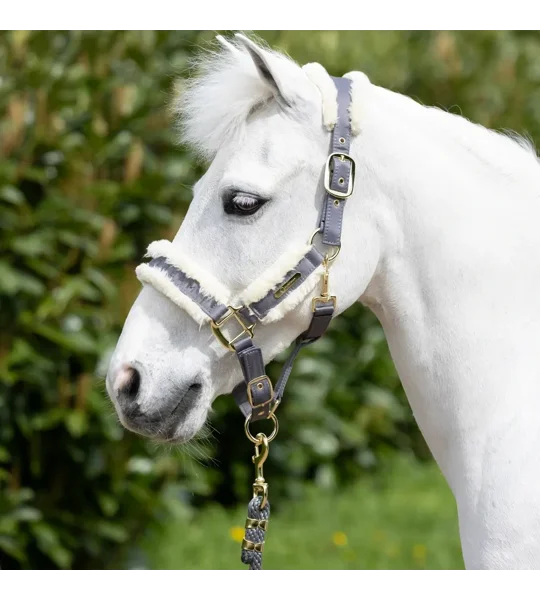 Coldstream Langlee Luxury Head Collar & Lead Rope Grey