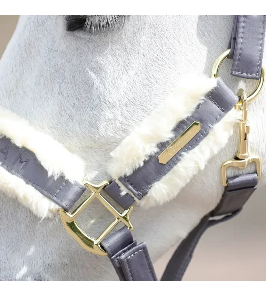 Coldstream Langlee Luxury Head Collar & Lead Rope Grey