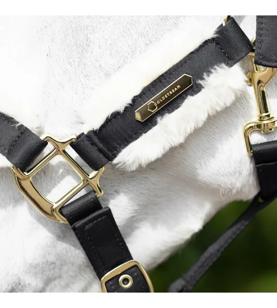 Coldstream Langlee Luxury Head Collar & Lead Rope Black