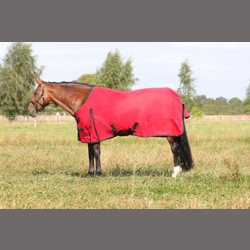 HyCONIC 50g Turnout Rug