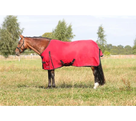 HyCONIC 50g Turnout Rug