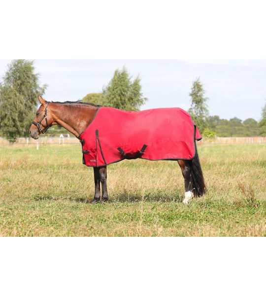 HyCONIC 50g Turnout Rug