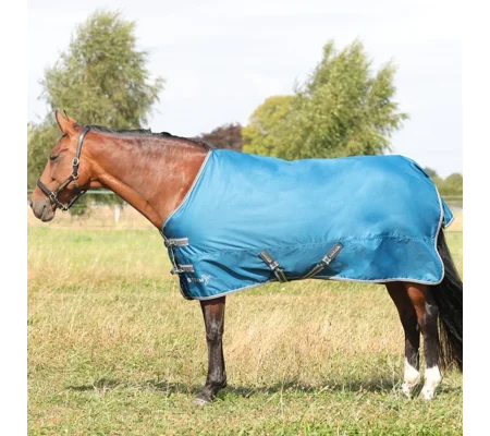 StormX Empra 50 Turnout Rug