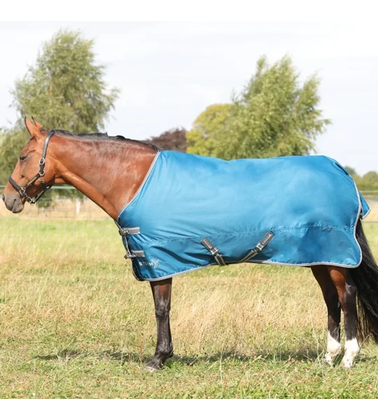 StormX Empra 50 Turnout Rug