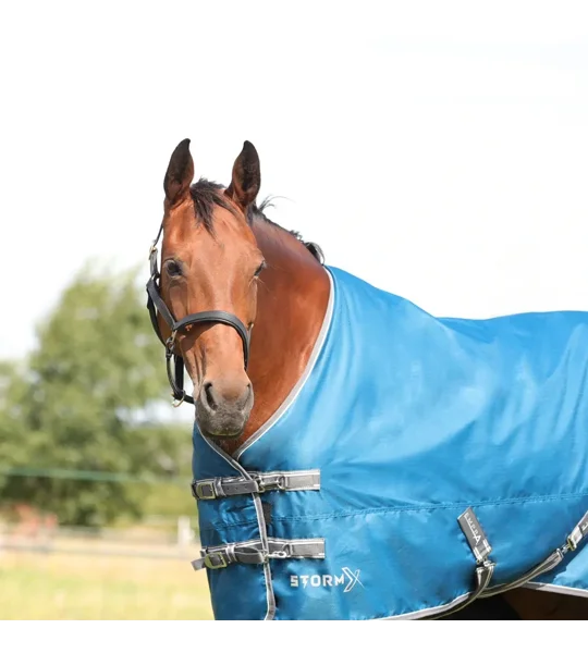 StormX Empra 50 Turnout Rug