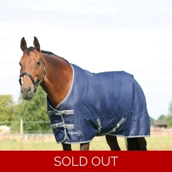 StormX Empra 100 Turnout Rug