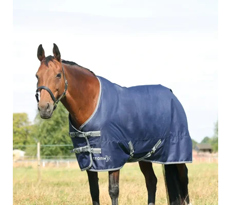 StormX Empra 100 Turnout Rug