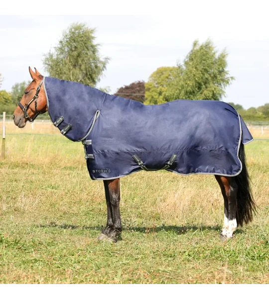 StormX Empra 100 Combi Turnout Rug