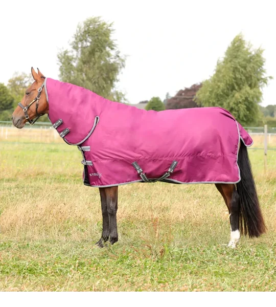StormX Empra 200 Combi Turnout Rug Purple