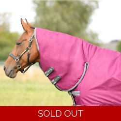 StormX Empra 200 Combi Turnout Rug Purple