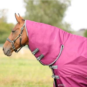 StormX Empra 200 Combi Turnout Rug Purple