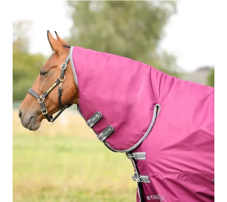 StormX Empra 200 Combi Turnout Rug Purple