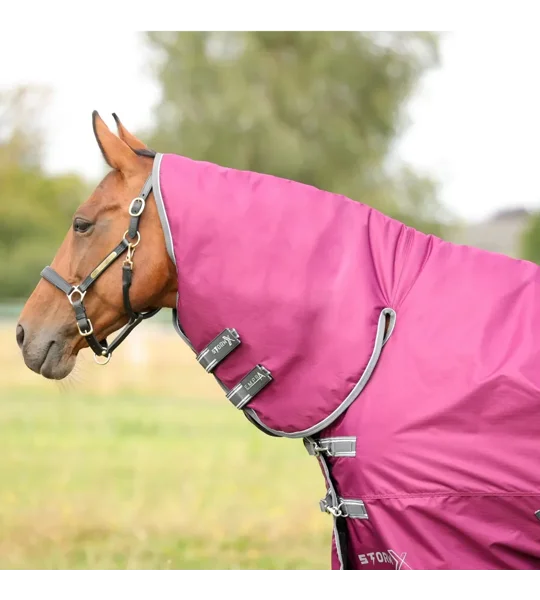 StormX Empra 200 Combi Turnout Rug Purple