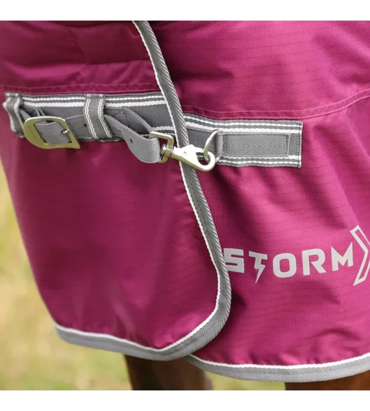 StormX Empra 200 Combi Turnout Rug Purple