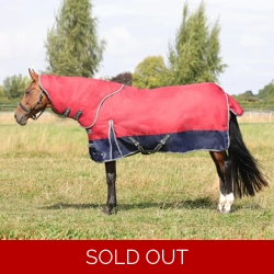 StormX Empra 200 Turnout Rug with Detachable Neck