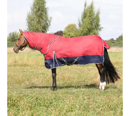 StormX Empra 200 Turnout Rug with Detachable Neck