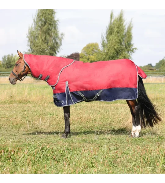 StormX Empra 200 Turnout Rug with Detachable Neck