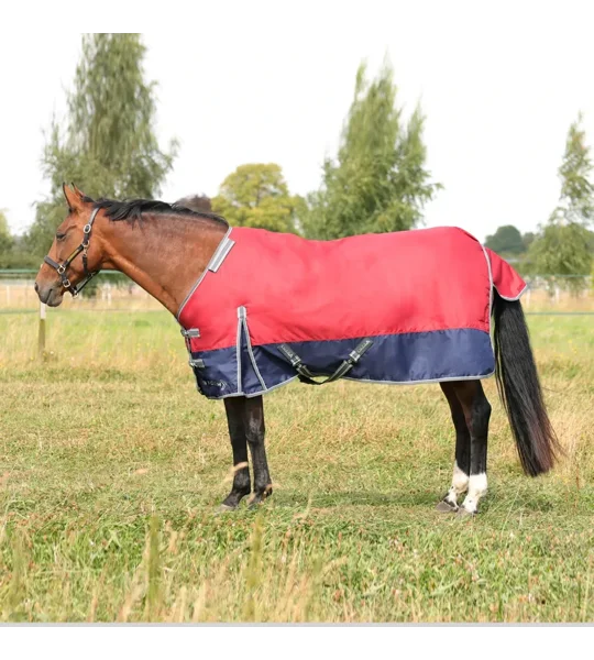 StormX Empra 200 Turnout Rug with Detachable Neck