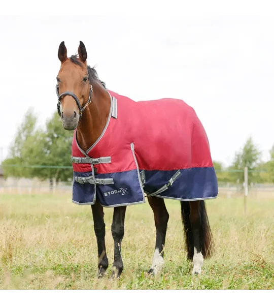 StormX Empra 200 Turnout Rug with Detachable Neck