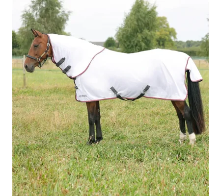 HyCONIC Fly Rug with Detachable Neck